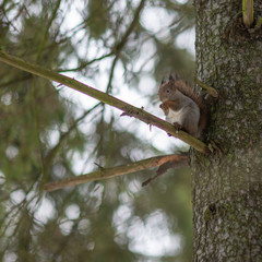 walk in the winter park