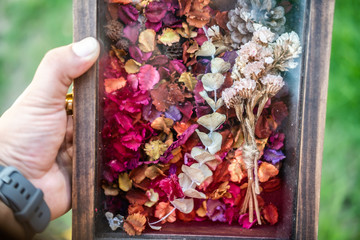 Dry flower and leaf in an old wooden box. Memory of love