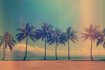 Palm trees on the ocean beach with the clouds on the sky. Old film light leaks.