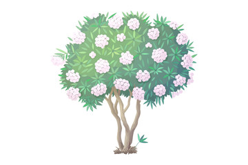 vector hand drawn plant clipart