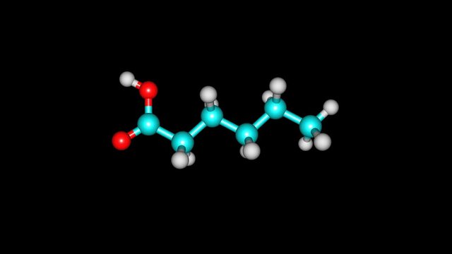 Rotating isolated hexanoic acid molecule video