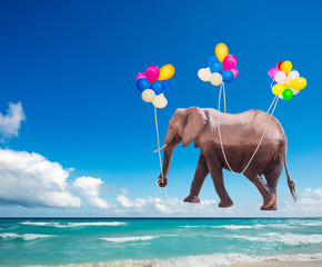Afrikanischer Elefant fliegt auf den farbigen Luftballons © Sergey Novikov