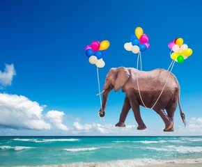 Afrikanischer Elefant fliegt auf den farbigen Luftballons © Sergey Novikov