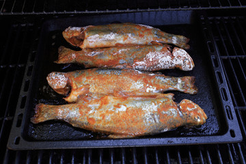 Grilled trout at the garden party on the gas grill
