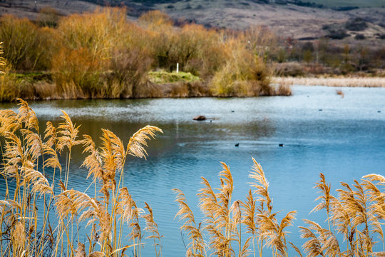 50 Oasi WWF: le oasi WWF in Basilicata