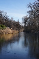 Fototapeta na wymiar Zugefrorener Kanal im Berliner Tiergarten bei Sonnenschein
