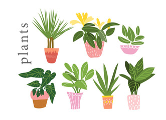 background, botanical, cactus, cartoon, collection, color, decoration, decorative, design, doodle, doodles, drawing, element, ficus, flat, floral, flower, flowerpot, garden, gardening, graphic, green,