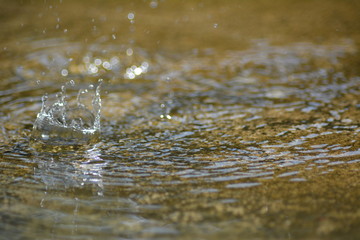 freckled fold ground drop and spatter to come out , 