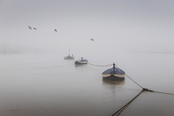 boats in atmospheric landscape