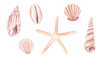 Watercolor Sea Shells Set