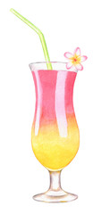 Exotic Cocktail Watercolor Illustration
