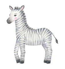 Fototapeta na wymiar Cute Zebra Watercolor Illustration