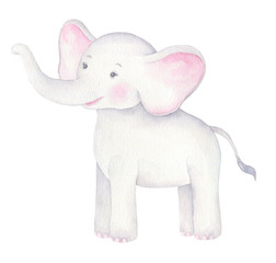 Cute Baby Elephant Illustration