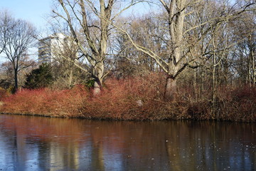 Winterliche Landschaft im Tiergarten Berlin mit Blick auf ein Hochhaus