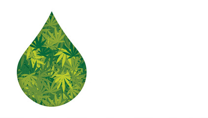 Obraz premium Marijuana and cannabis oil drop vector seamless pattern. Cannabis engraving plant. Marijuana or Cannabis Leaf background. 