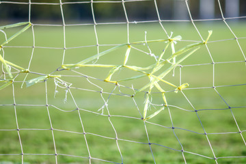 Football or soccer net with blured background