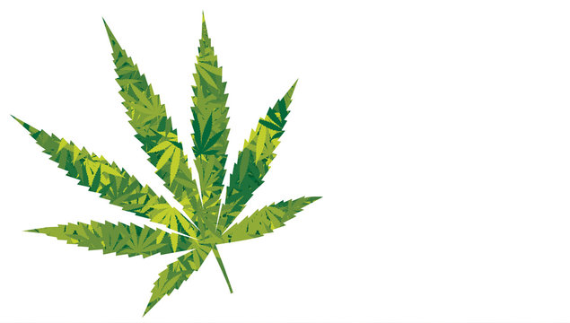 Marijuana leaf vector illustration. Marijuana or Cannabis Leaf background. 