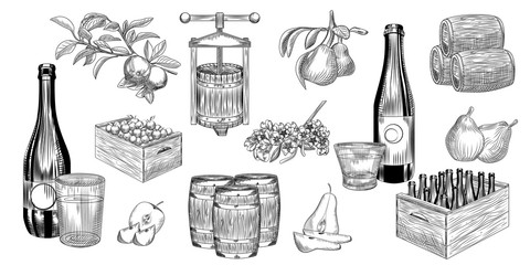 Set of pear and apple cider. Harvest pears, apples, press, barrel, glass and cider bottle.