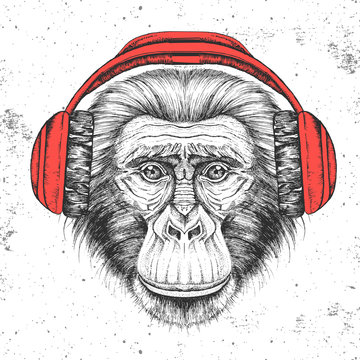 Hipster animal monkey with headphones. Hand drawing Muzzle of animal chimpanzee