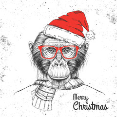 Christmas Hipster fashion animal monkey dressed in New Year hat and scarf