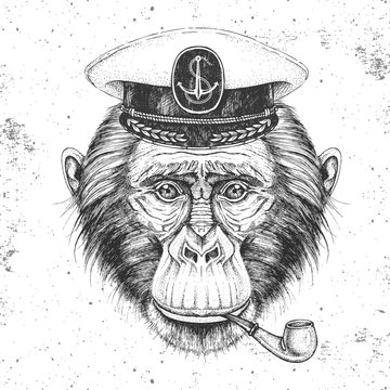 Hipster animal monkey in captain's cap and smoking pipe. Hand drawing Muzzle of chimpanzee