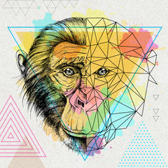 Hipster animal realistic and polygonal monkey on artistic watercolor background