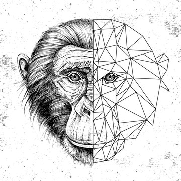 Hipster animal realistic and polygonal monkey face. Triangle animal