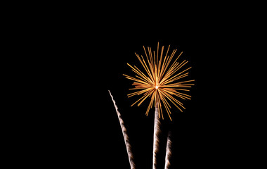 Multi-color of firework background. Colorful of firework in celebration or festival