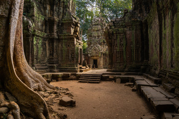 The ruins of Ta Prohm Temple part of the Angkor Thom in Siem Reap, Cambodia