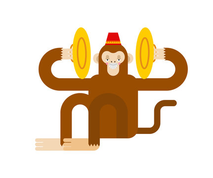 Monkey with cymbals isolated. Musical Circus Monkeу. vector illustration