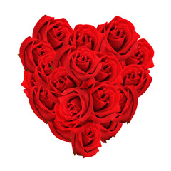 heart formed with red roses  isolated on white background