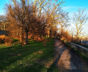 autumn in the park