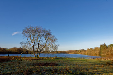 Balgavie Loch, a small nature Reserve off the road to Forfar on a cold but sunny winters morning at the end of December.