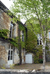 Ville de Mortagne-au-Perche, vieille bâtisse avec tourelle et vigne vierge, centre historique de la ville, département de l'Orne, France