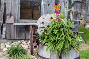 Fototapeta na wymiar Country Style Garden. Potted plants, shovel and small quaint wooden backyard garden shed.