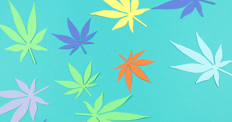 Paper applique paper hemp leaves on colored backgrounds. The concept of legalization.