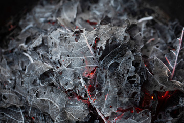 Burning fire of dried leaves