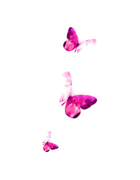 Pink flying butterflies in watercolor. Mixed media. Vector illustration