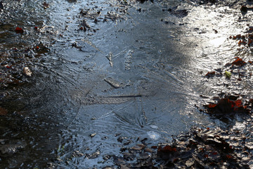 Frozen puddle at sub-zero temperatures in winter