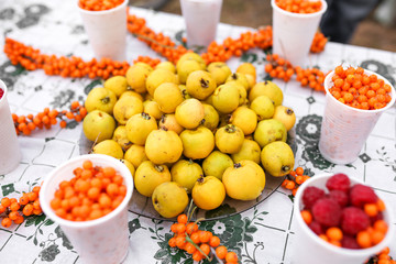 Sea buckthorn and quince