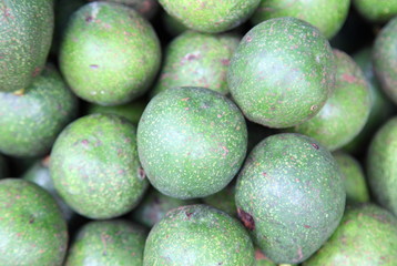 fresh organic avocados at a farmer's market 