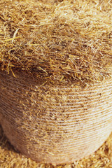 Stack of dry hay as an abstract background