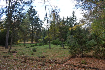 Landscape