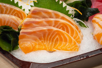 Raw salmon sashimi slice on ice Japanese food