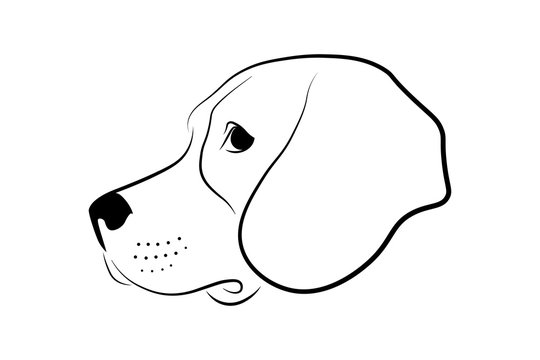 Dog head profile design. Black linear sketch on white background. Vector illustration