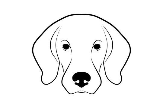 recommend clip art: Dog head front view. Black linear sketch on white background. Vector illustration