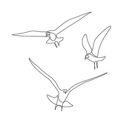 Flying birds in line art drawing style. Group of gulls black linear sketch on white background. Vector illustration © GarkushaArt