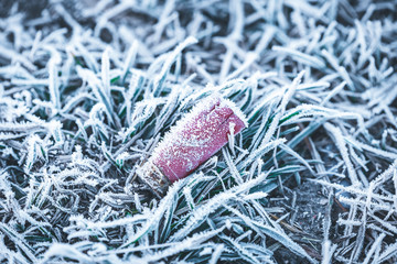 shotgun rifle ammunition lies frozen in grass on the ground
