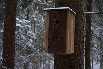 A bird house, resembling the trunk of the tree where it is hanging