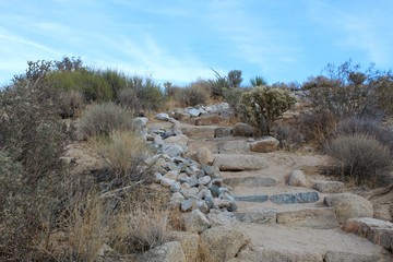 Indian Cove Trail offers a short trek of approximately 0.6 miles through serene native phytocoenosis of the Southern Mojave Desert in Joshua Tree National Park.